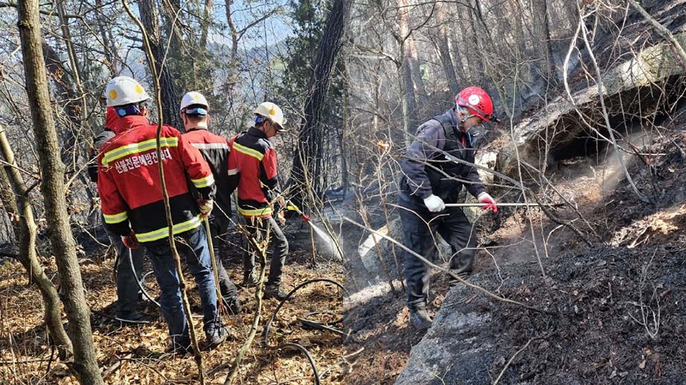 사진 제공 산림청