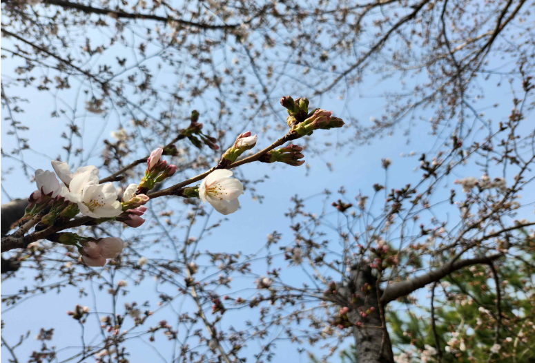 사진 제공 대구지방기상청