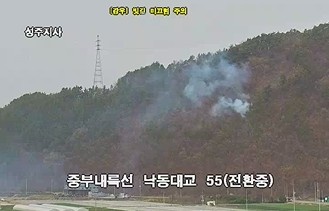사진 제공 산림청