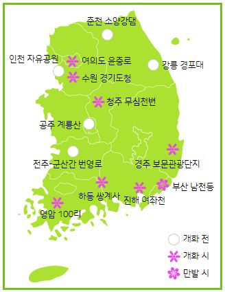 2024.04.01 기준 봄꽃 개화 현황 (사진 기상청)