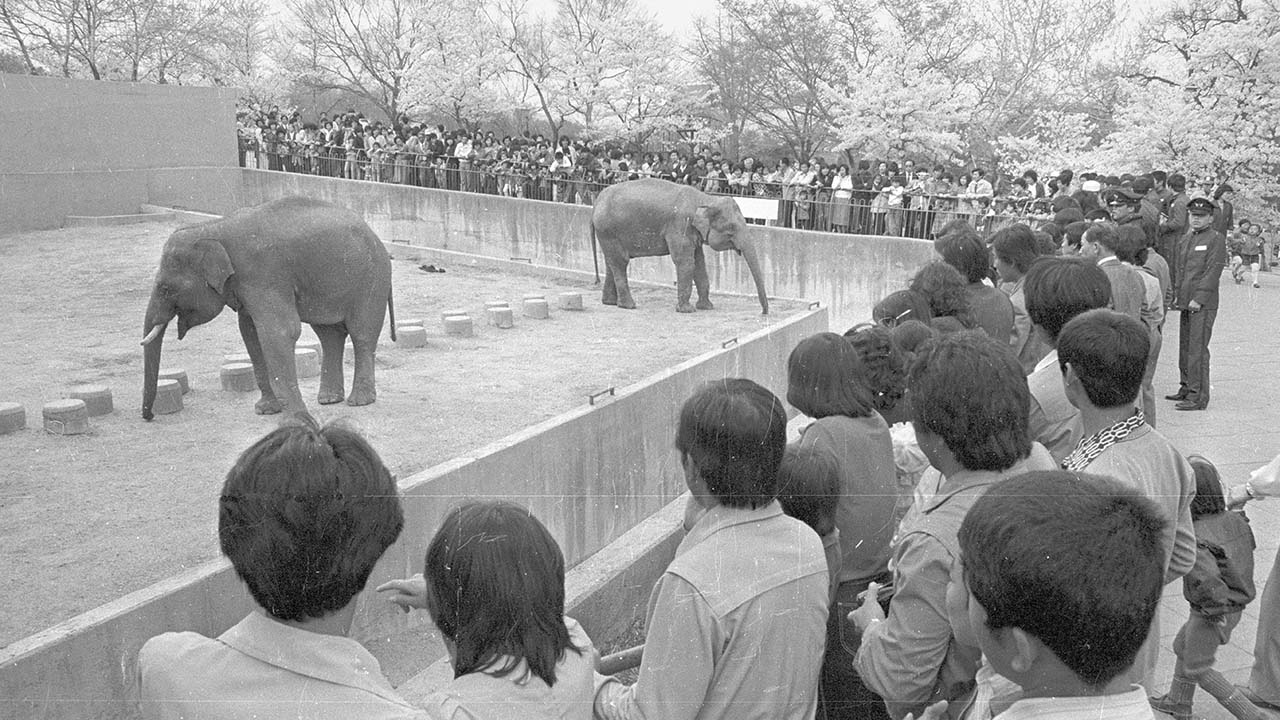 사진 자료 중구청+매일신문