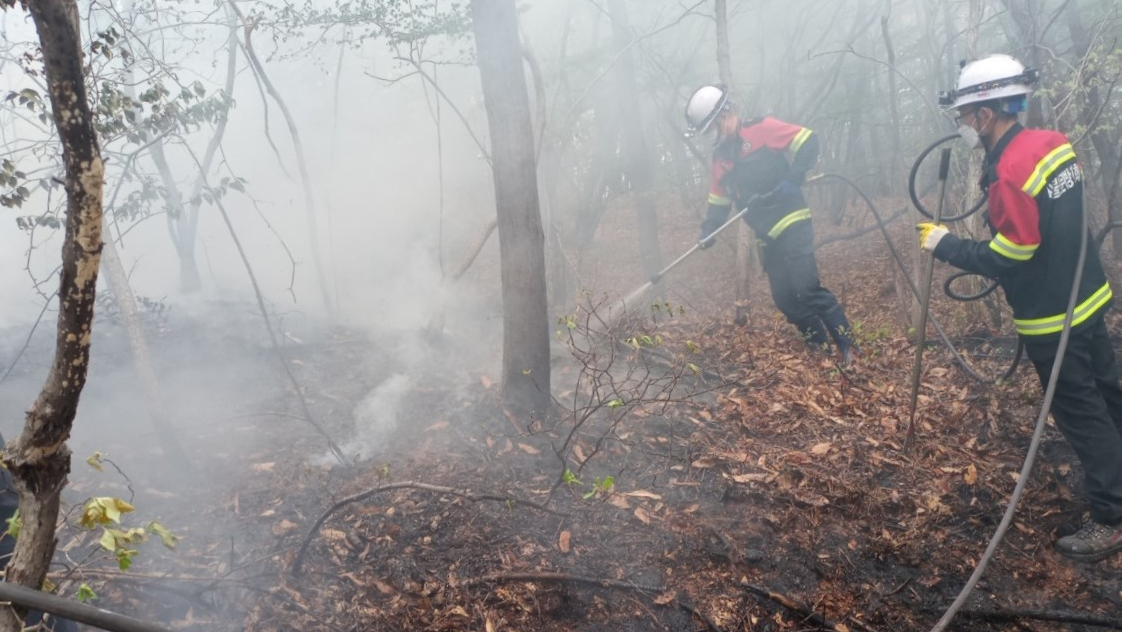 사진 제공 산림청