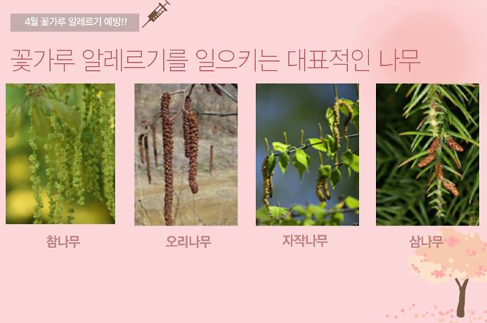 사진 대한민국 정책브리핑