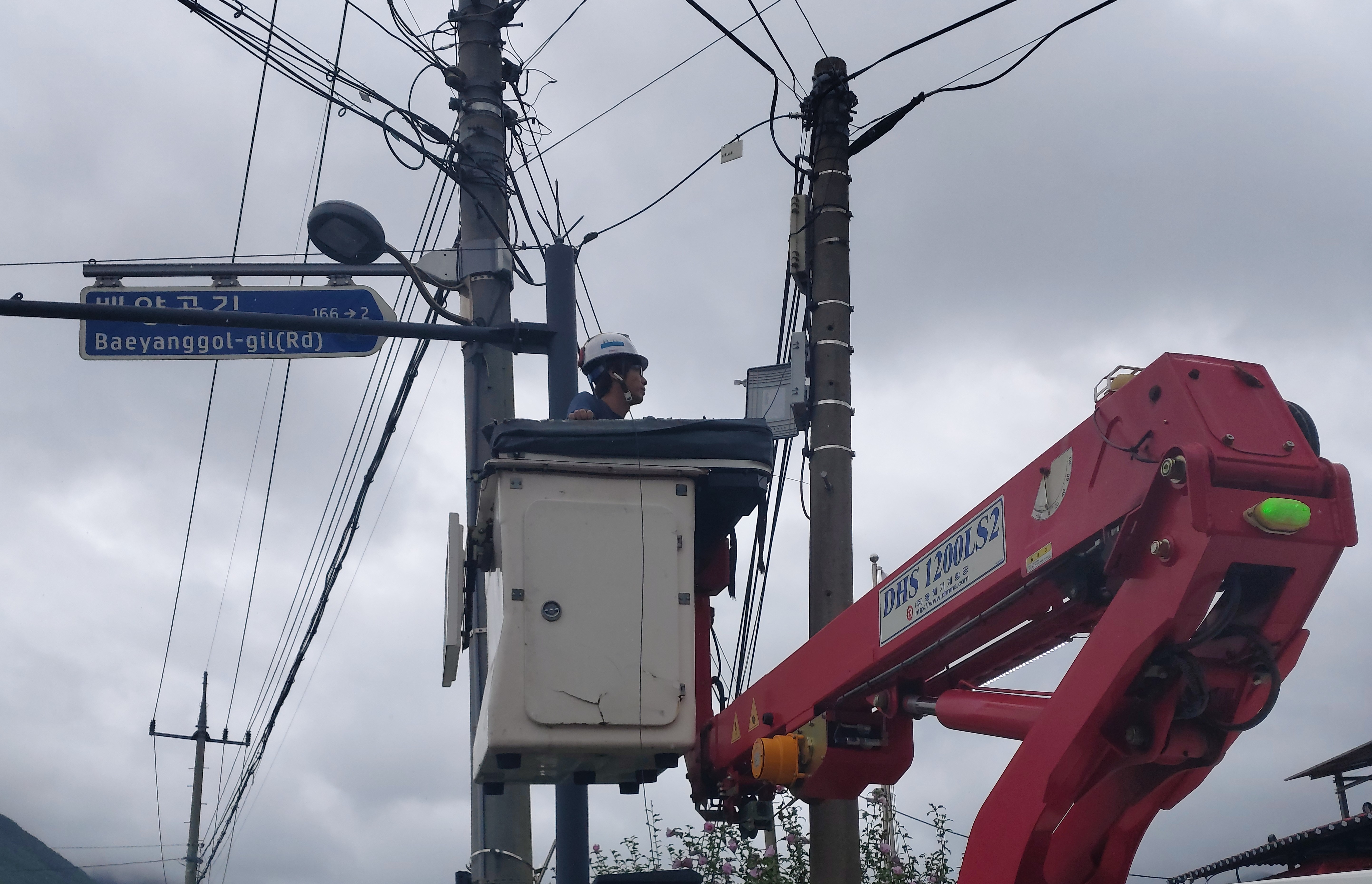 사진 제공 경상북도