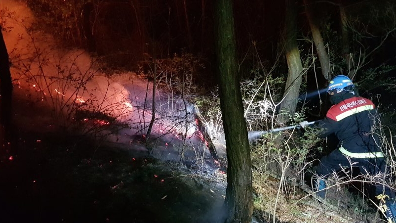 사진 제공 산림청