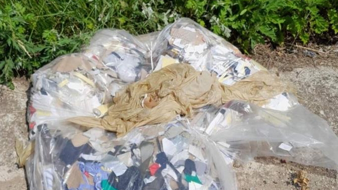 사진 제공 경상북도