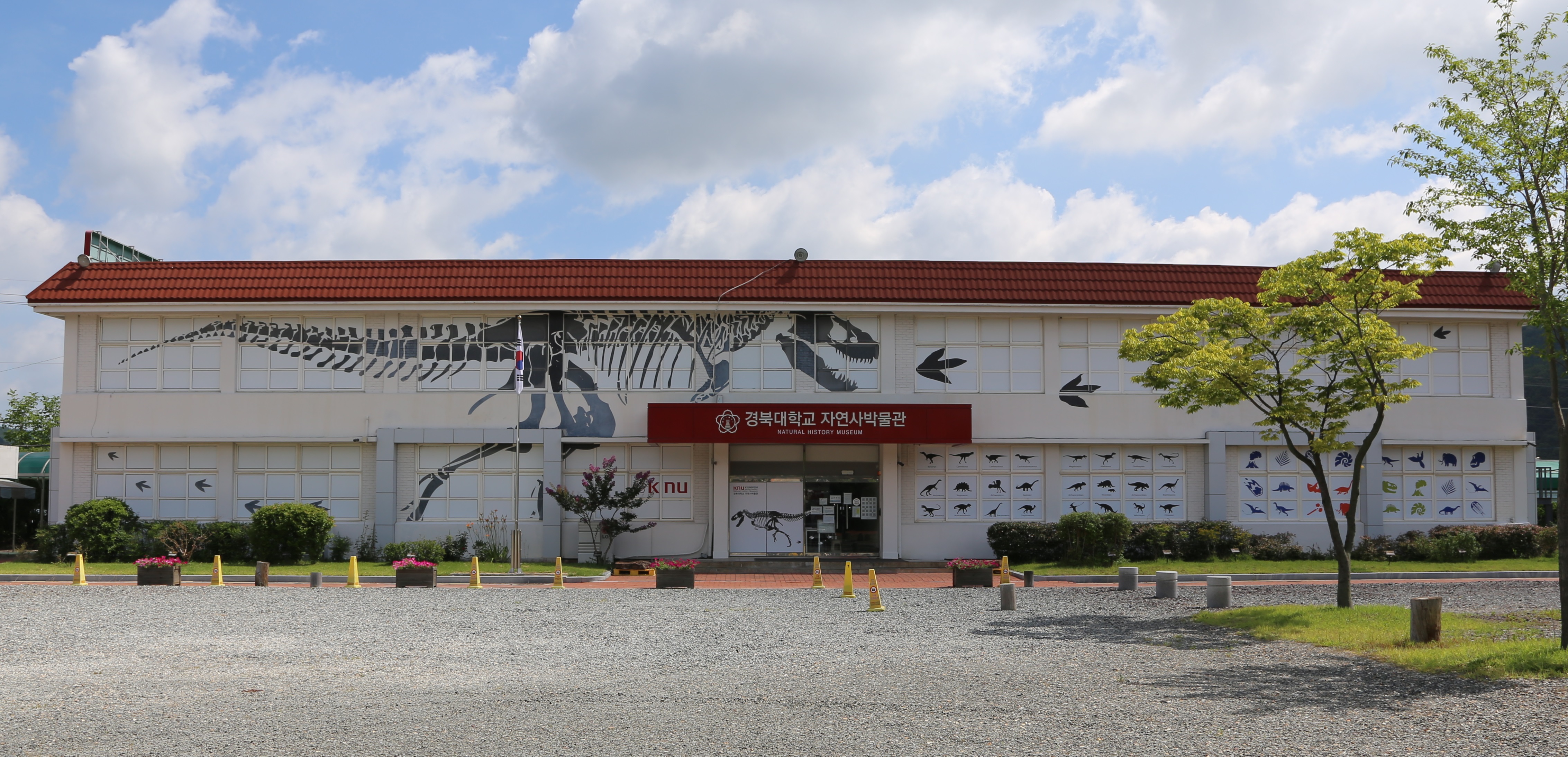 사진 제공 경북대학교