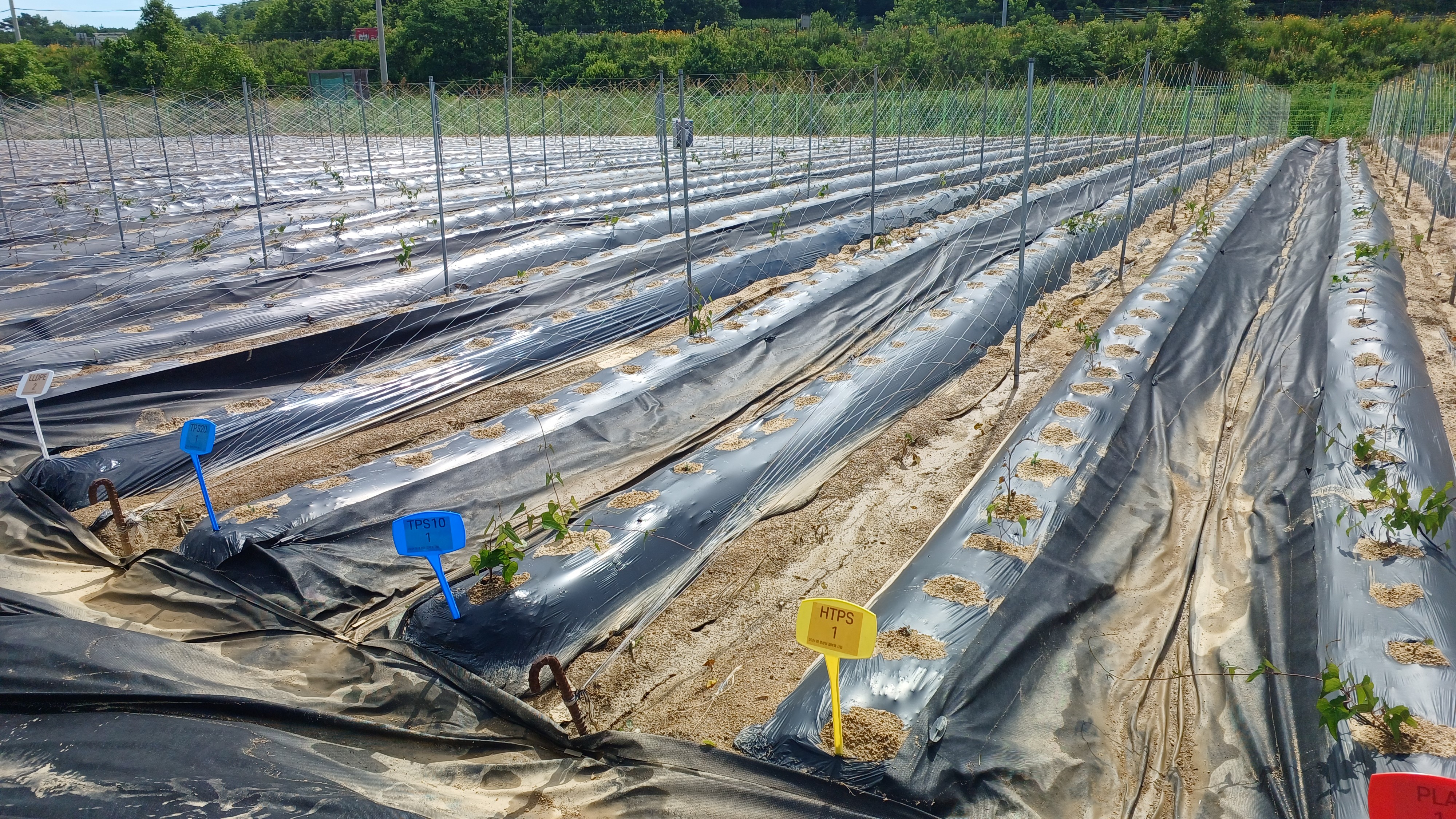 사진 제공 경상북도