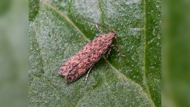 사진 제공 김천시