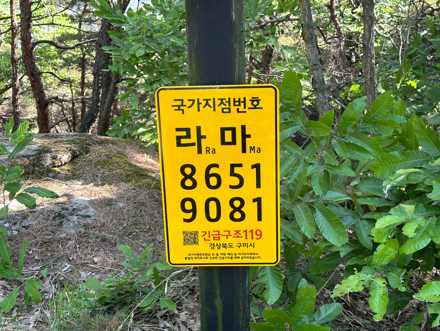 사진 제공 경북 구미시