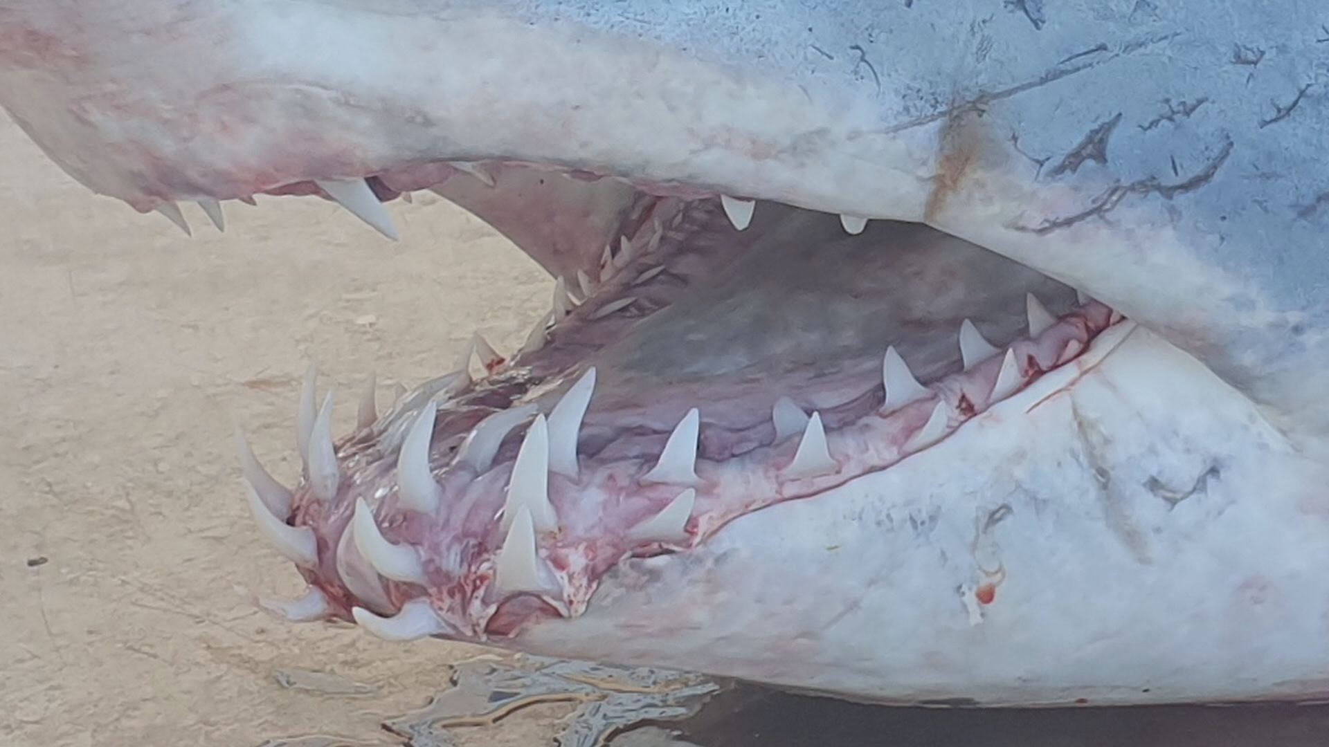 위 사진은 기사 내용과 관련이 없습니다