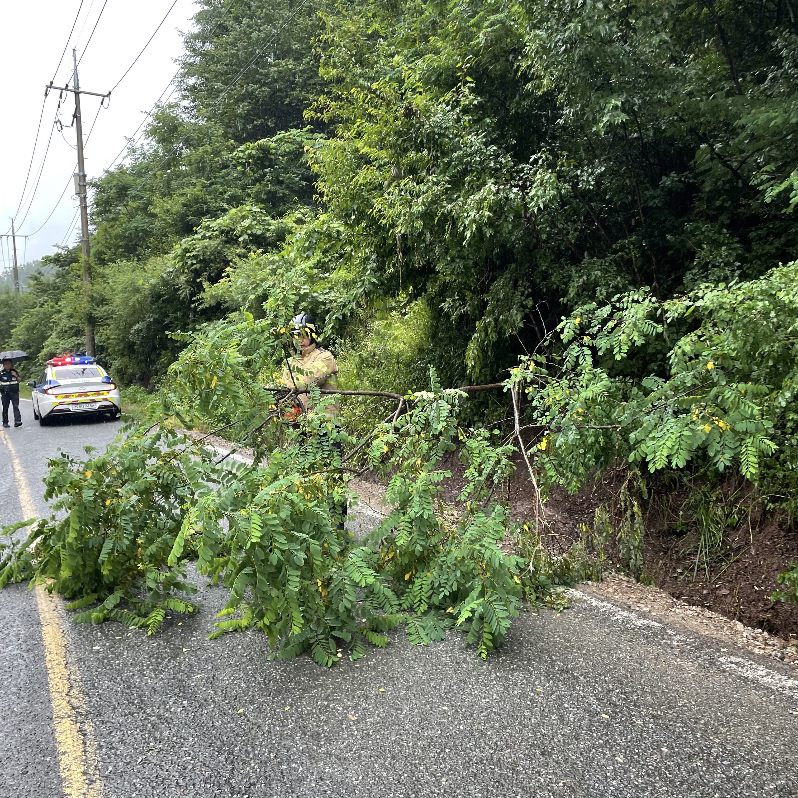 사진 제공 경북 안동소방서 영양119안전센터