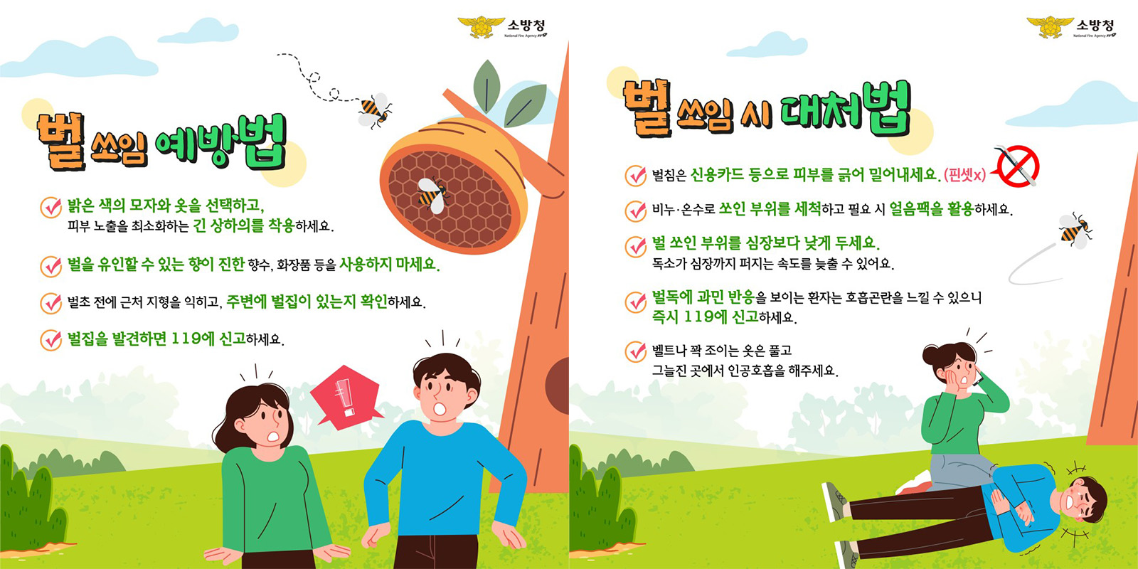 사진 제공 경북소방본부