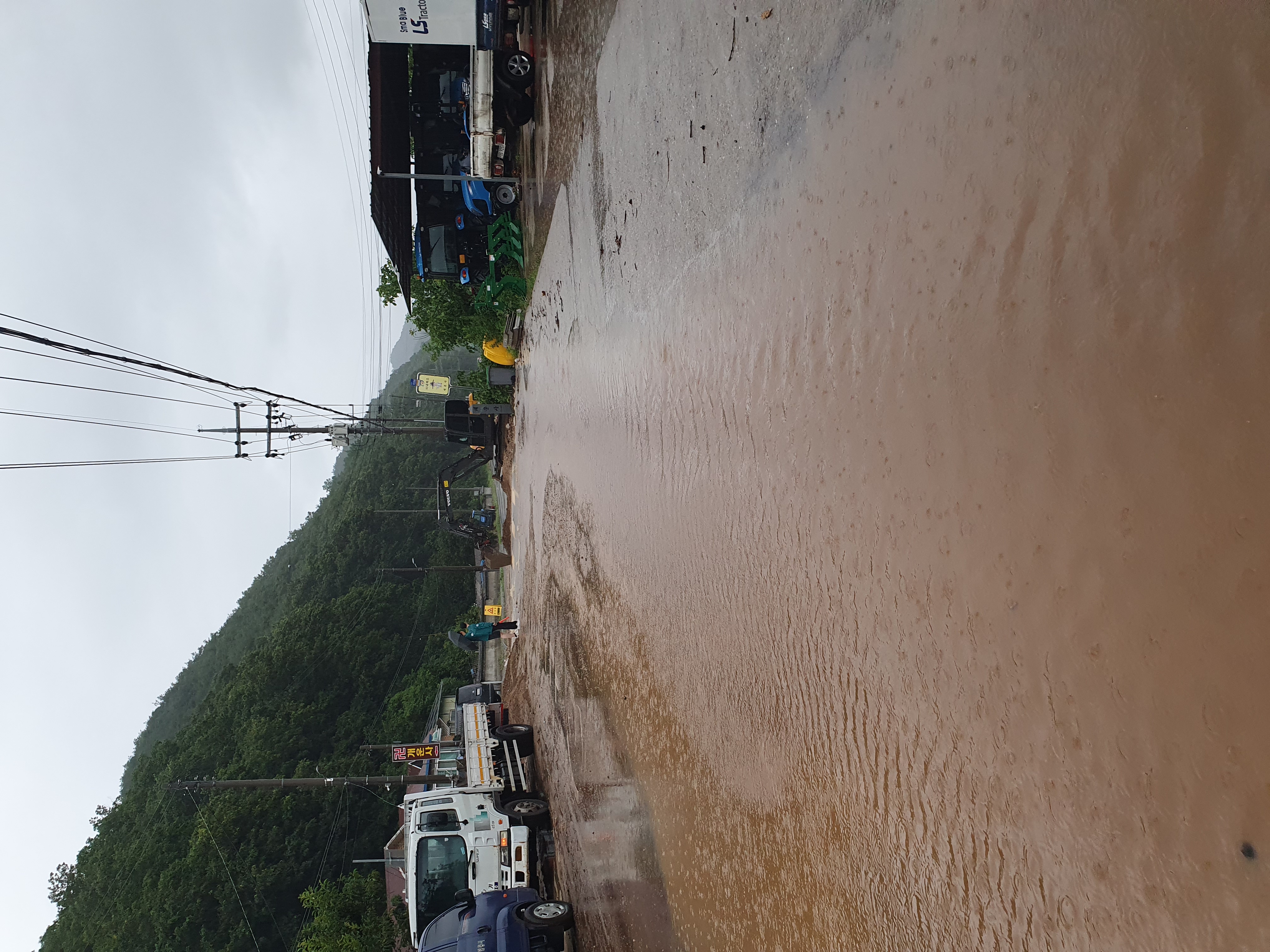 사진 제공 시청자