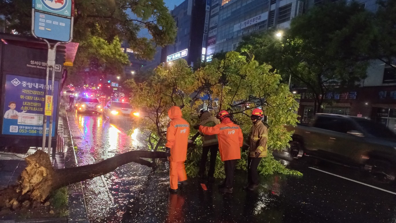사진 제공 대구소방본부