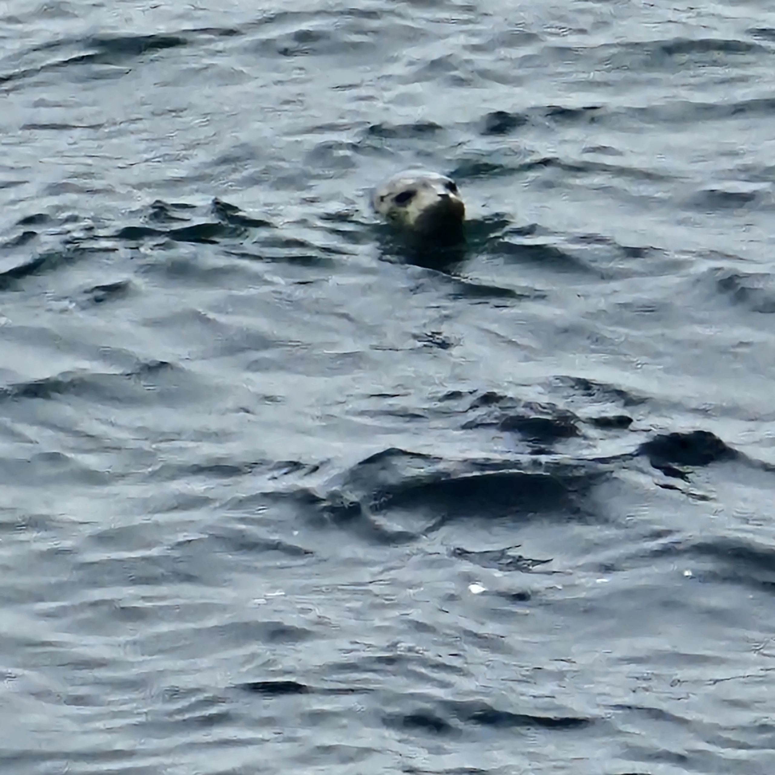 사진 제공 김민수