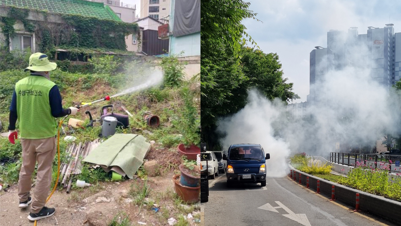 사진 제공 대구 수성구