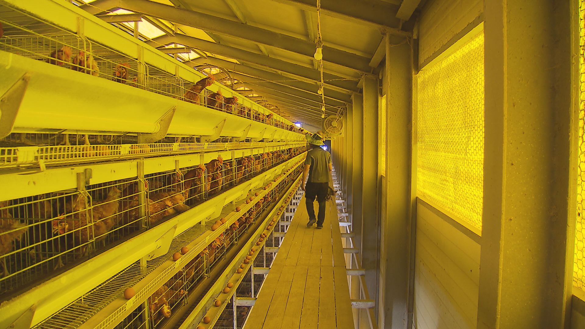 위 사진은 기사 내용과 관련이 없습니다