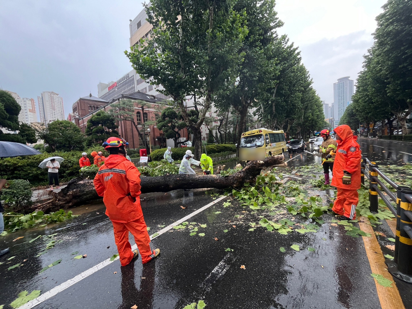 사진 제공 대구소방본부