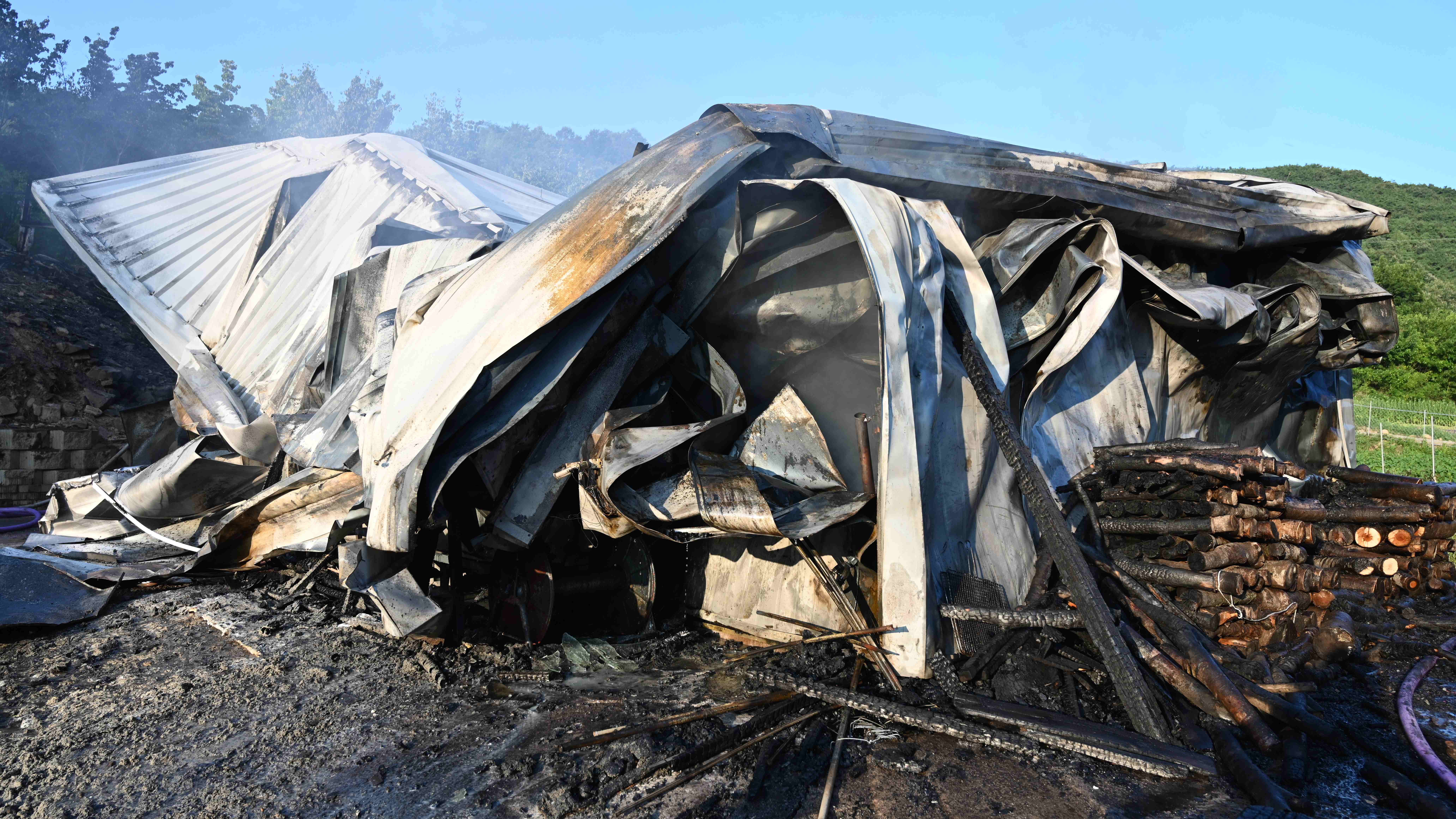 사진 제공 대구소방본부