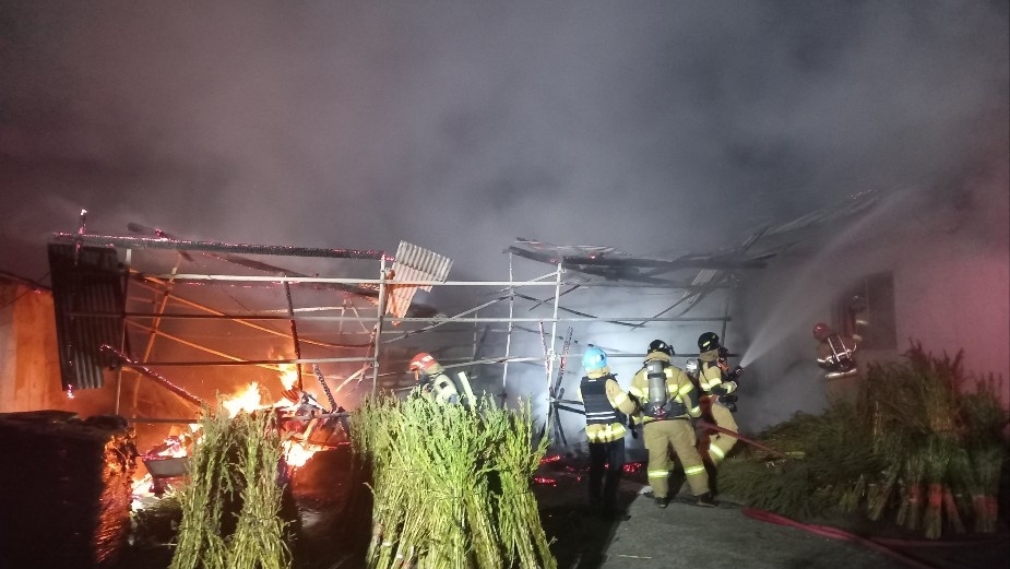 사진 제공 경북소방본부