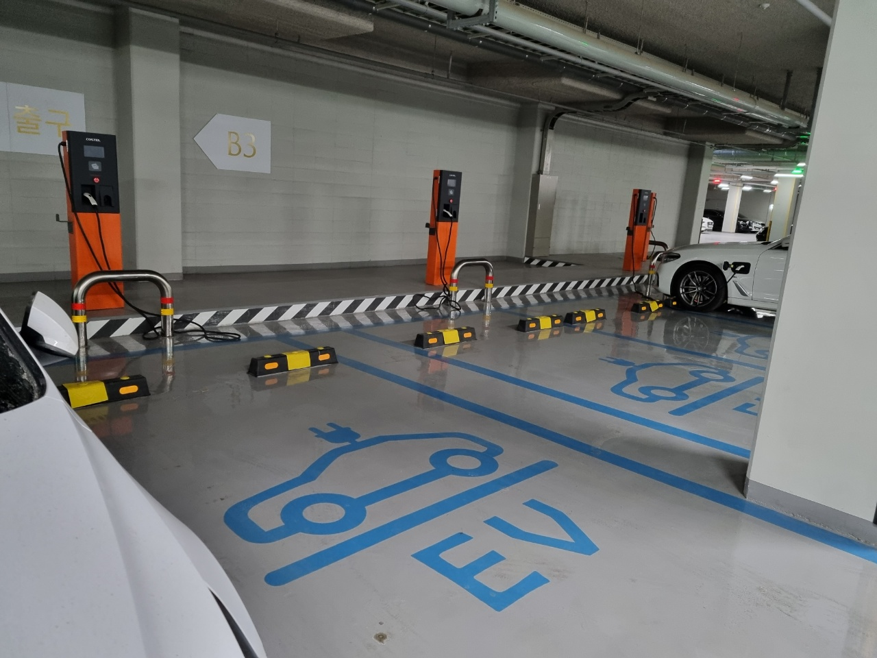 사진 제공 대구안전생활실천시민연합