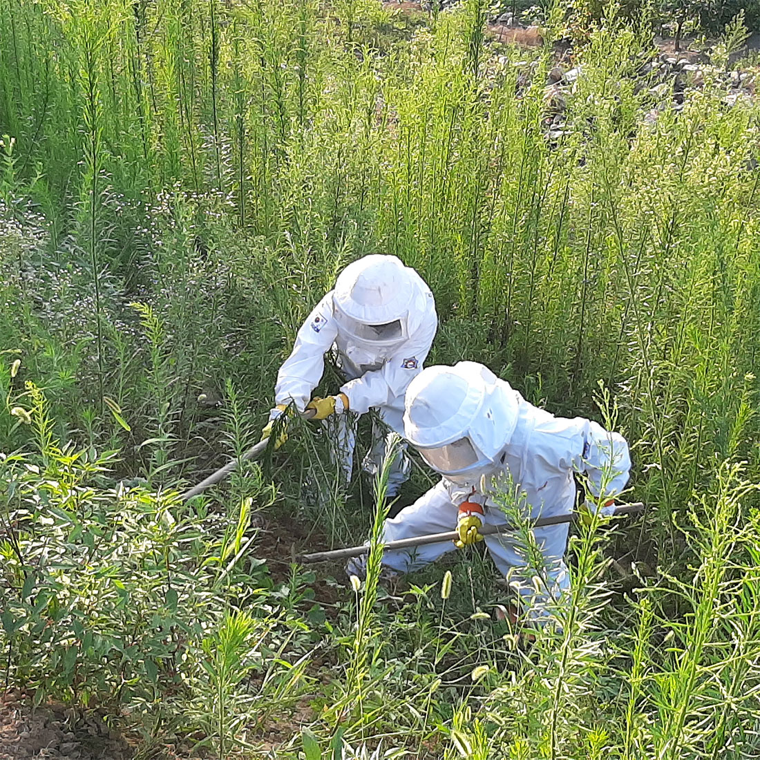 사진 제공 경북소방본부
