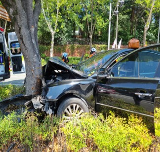사진 제공 대구소방본부