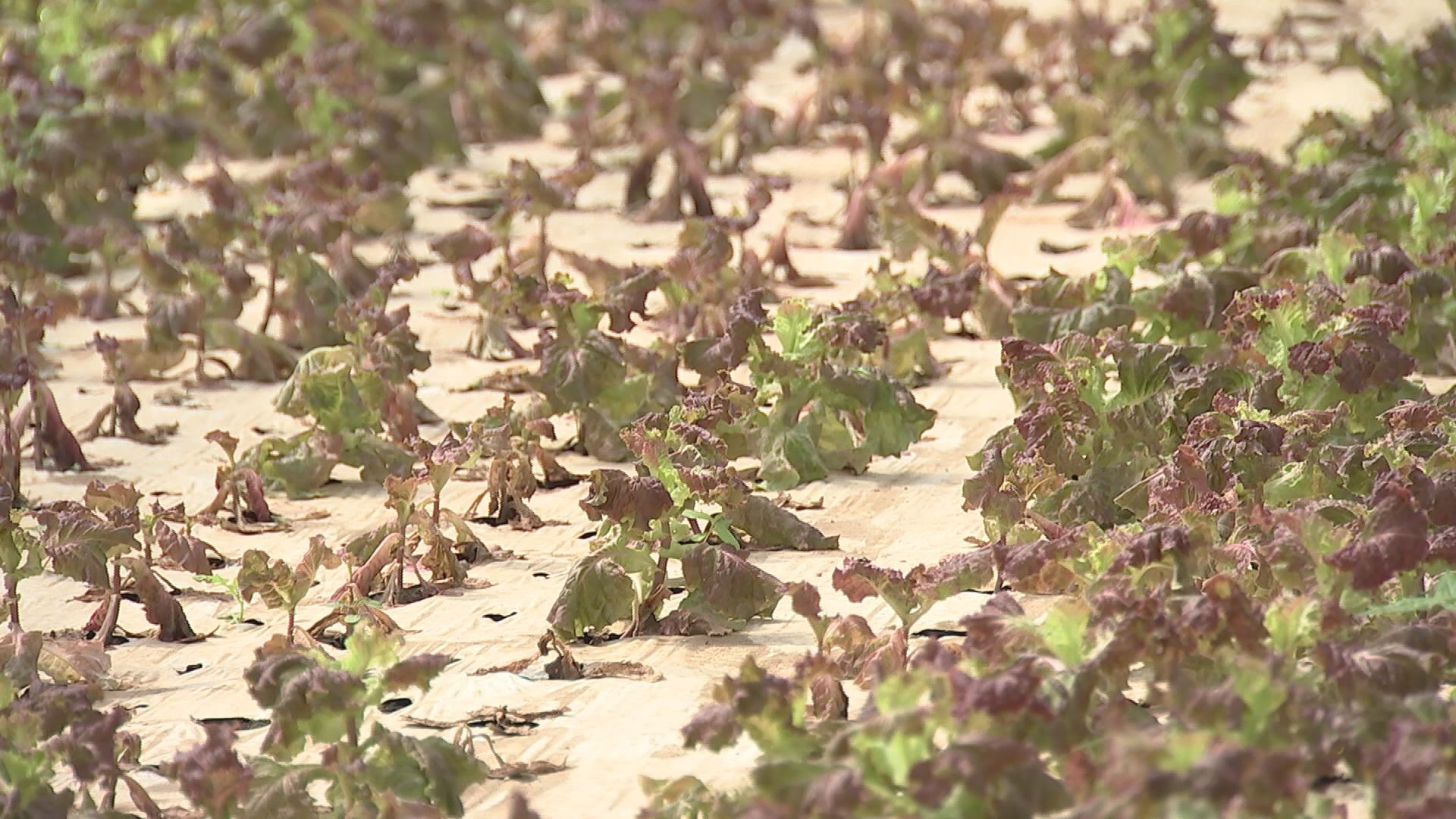 위 사진은 기사 내용과 관련이 없습니다.