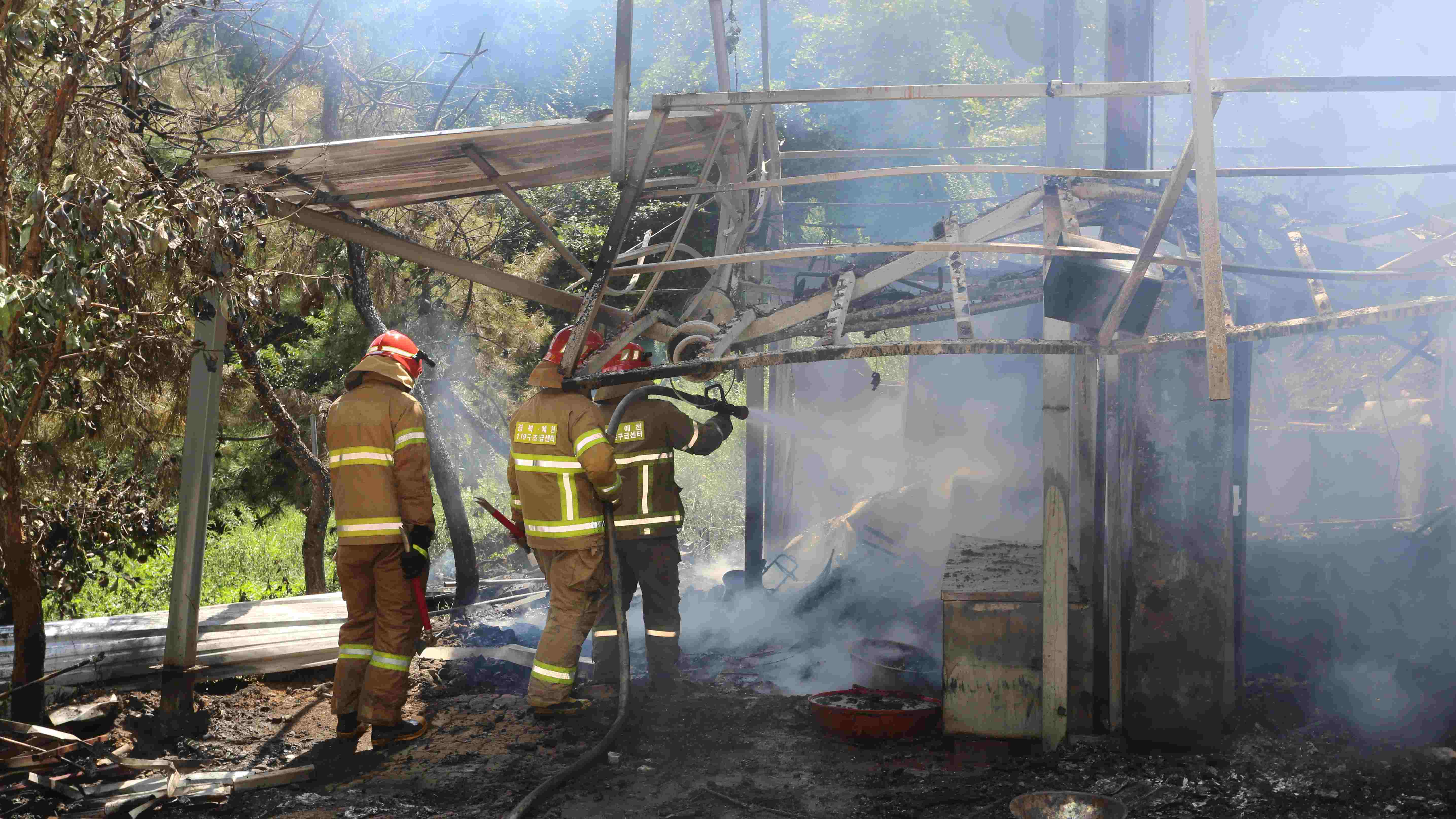 사진 제공 경북소방본부