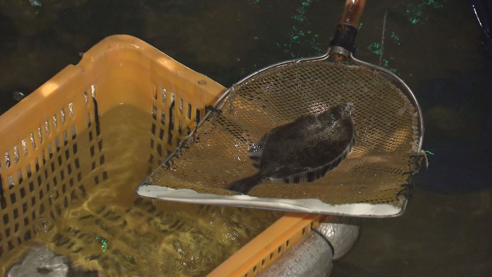 위 사진은 기사 내용과 관련이 없습니다.