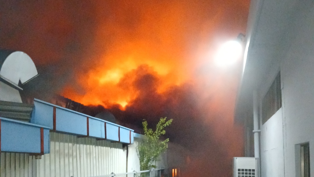 사진 제공 대구소방본부