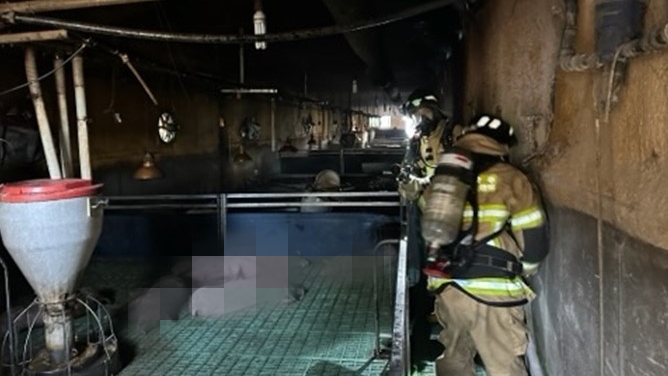 사진 제공 경북소방본부