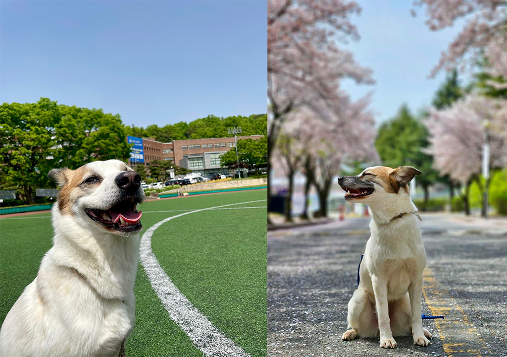 사진 제공 대경대학교