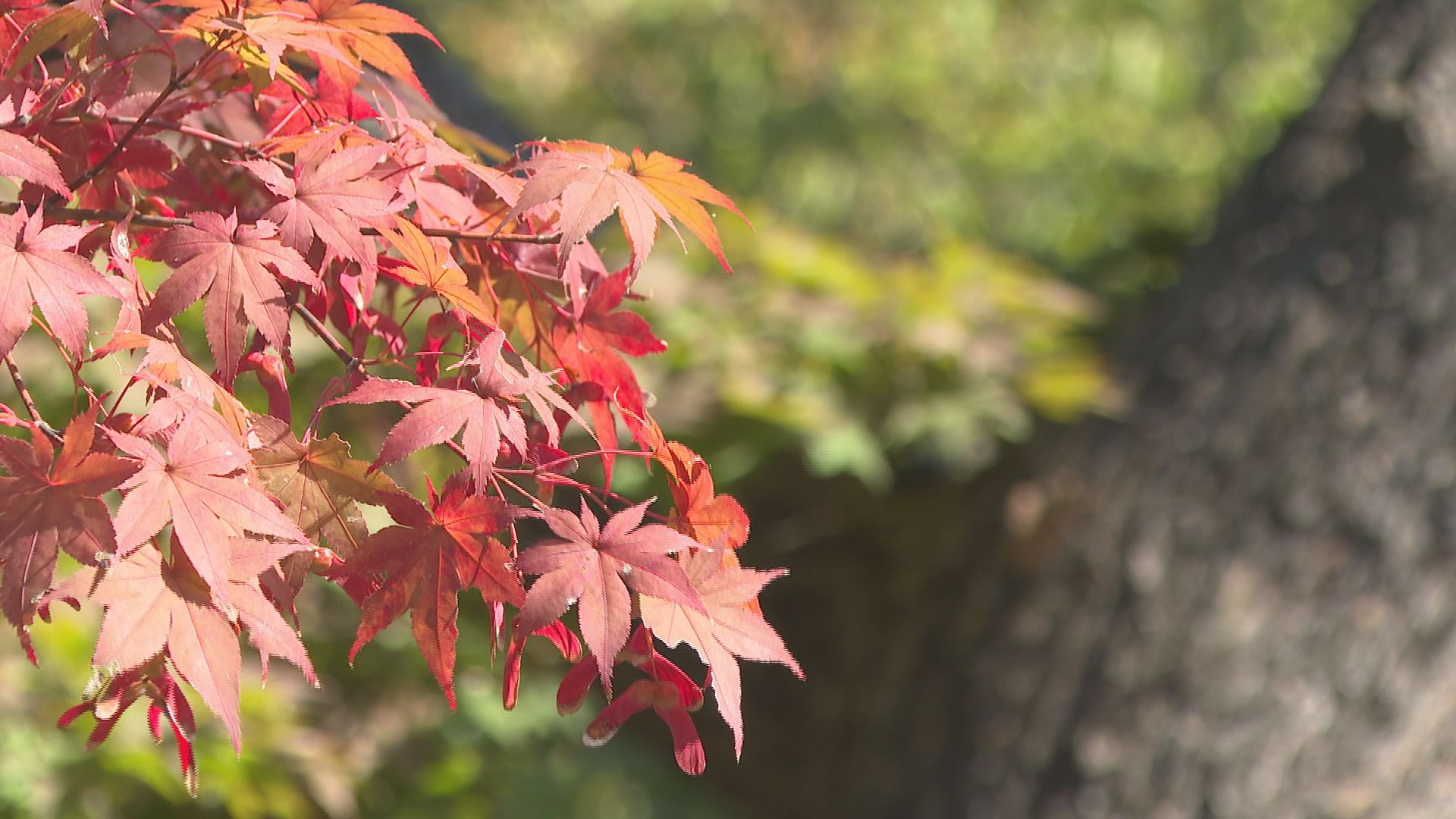 위 사진은 기사 내용과 관련이 없습니다