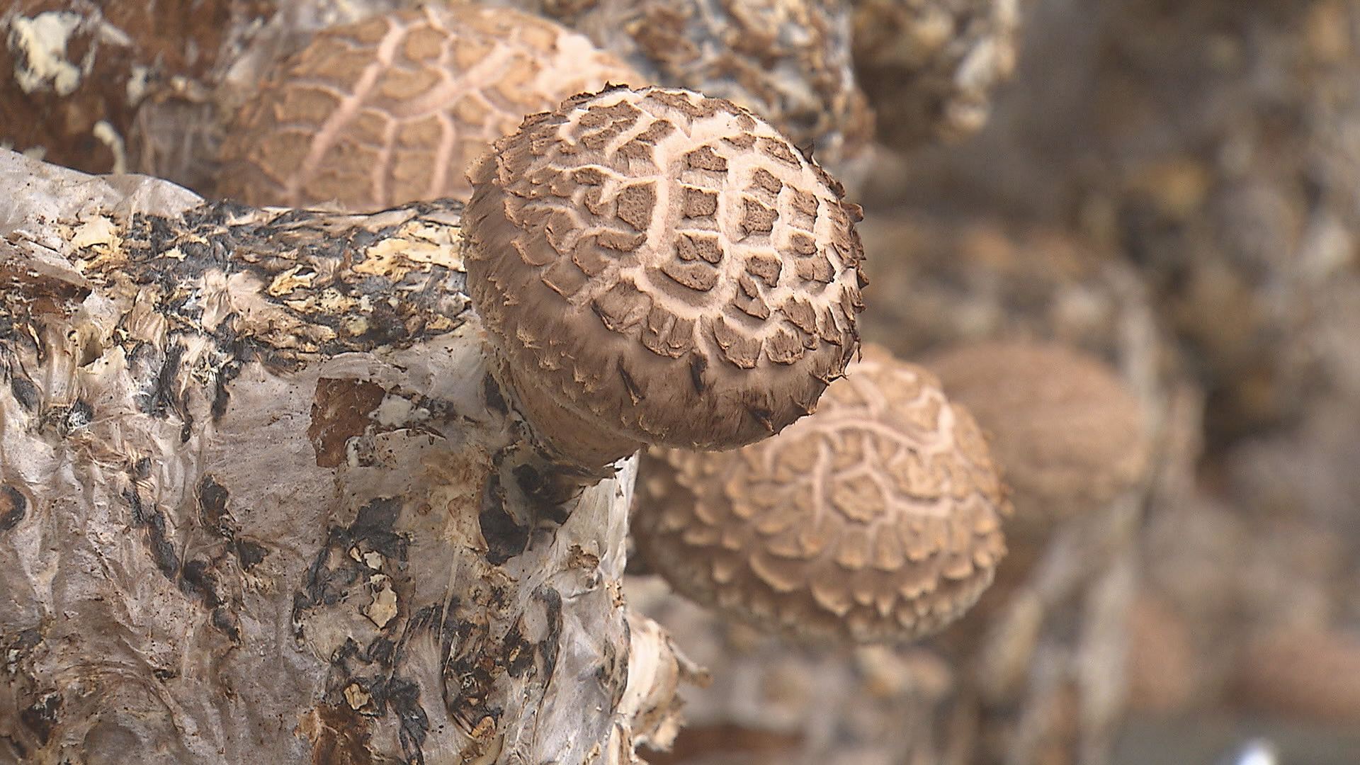위 사진은 기사 내용과 관련이 없습니다