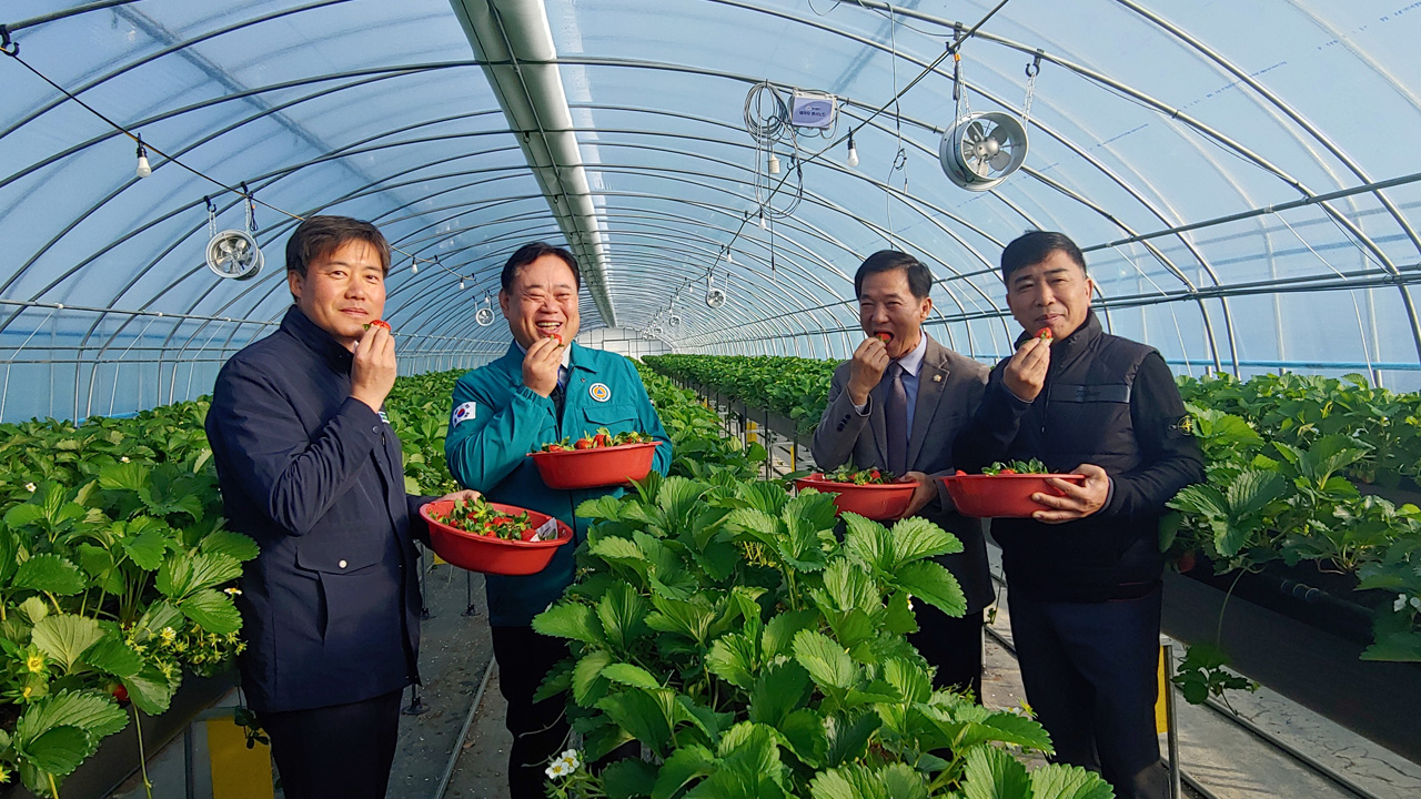 사진 제공 경북 고령군