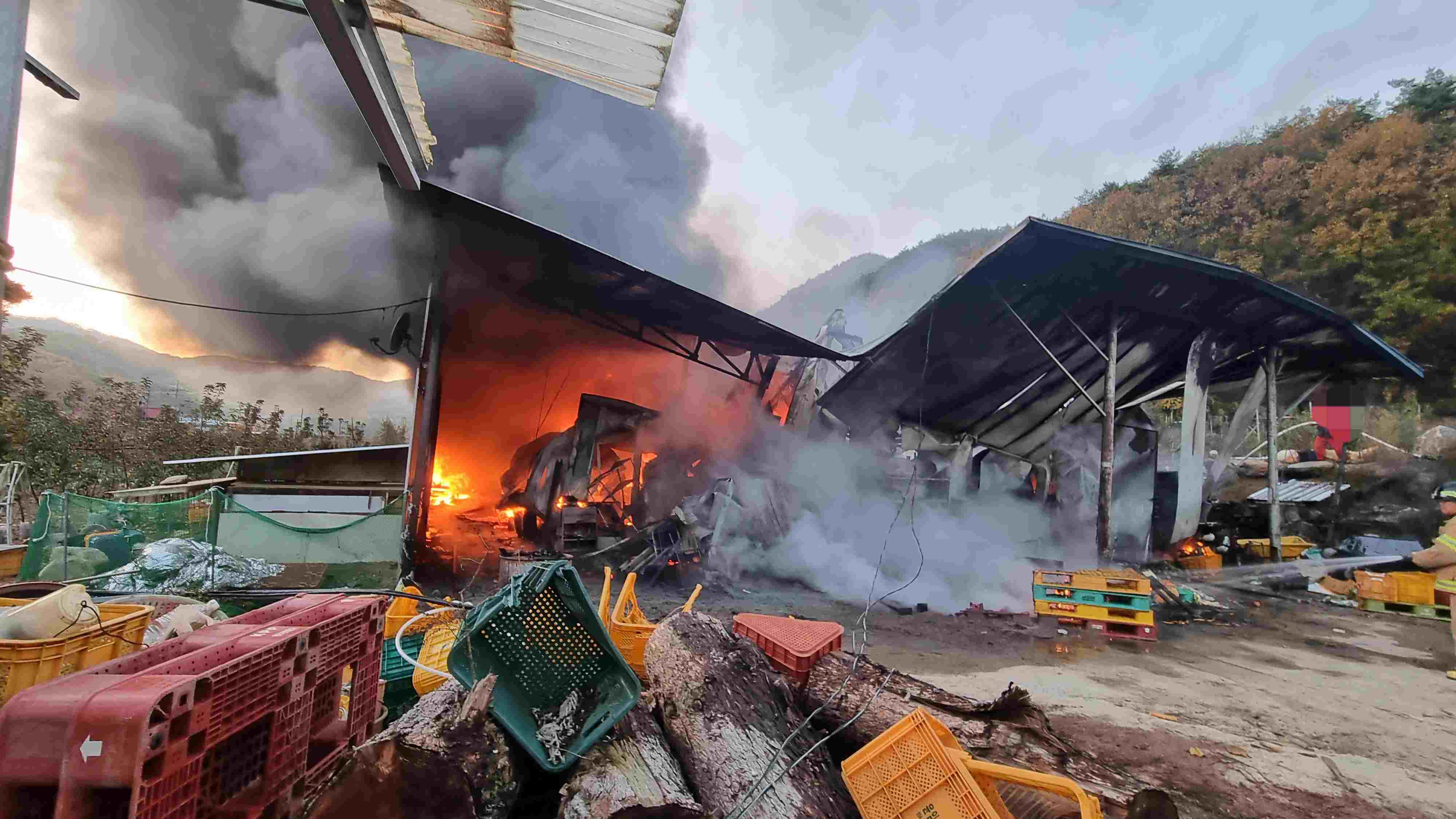 사진 제공 경북소방본부