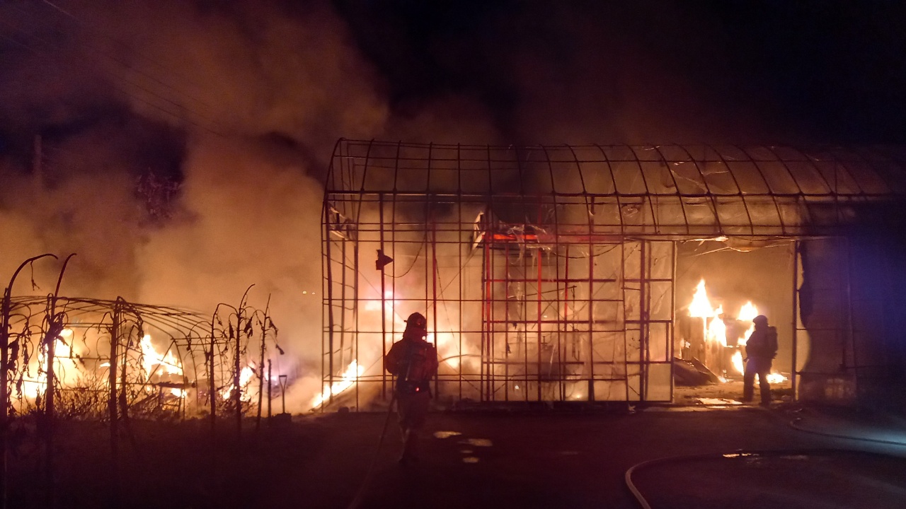 사진 제공 경북소방본부