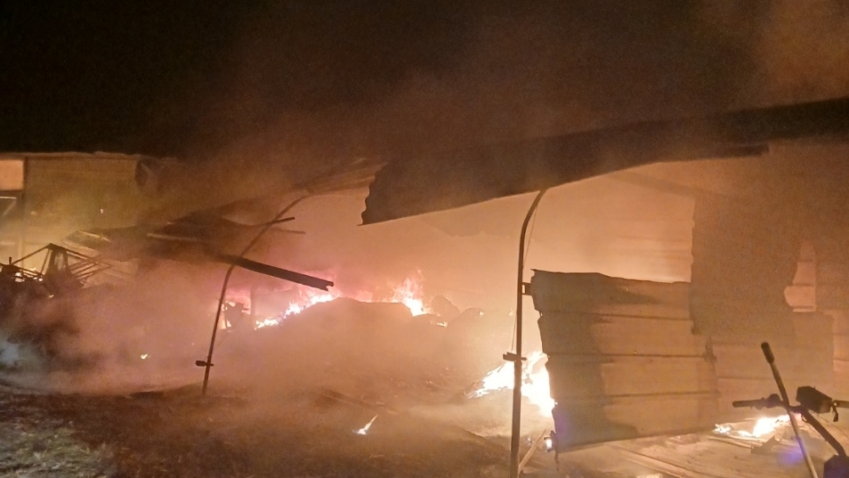 사진 제공 경북소방본부