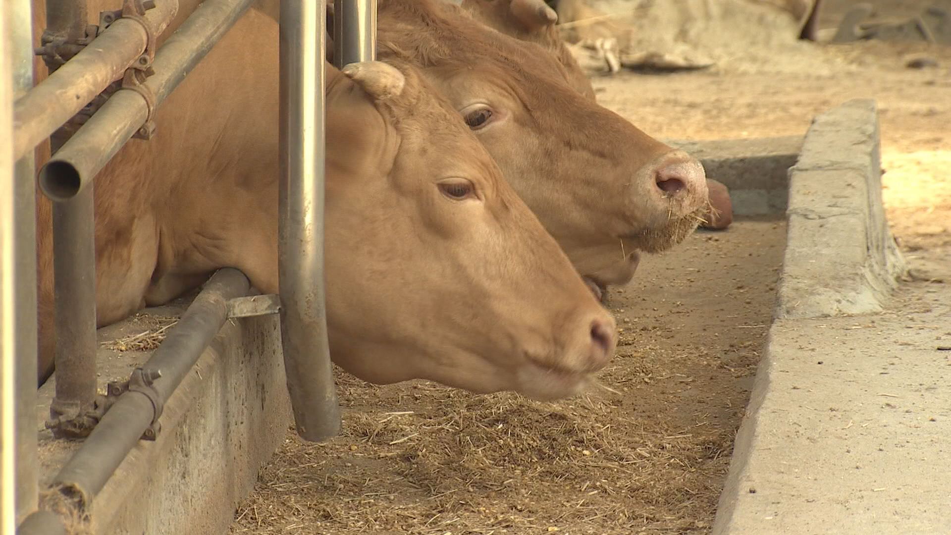 위 사진은 기사 내용과 관련이 없습니다