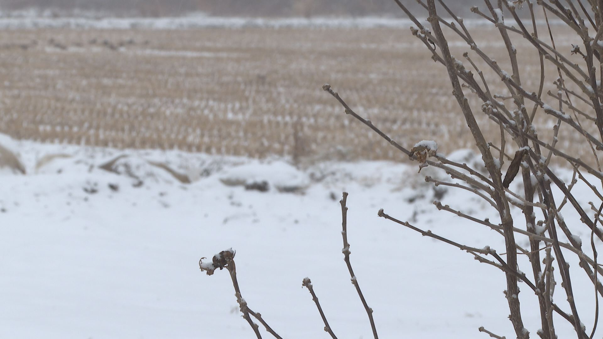 위 사진은 기사 내용과 관련이 없습니다