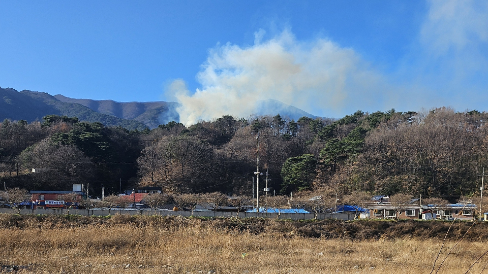 사진 제공 산림청, 경북소방본부