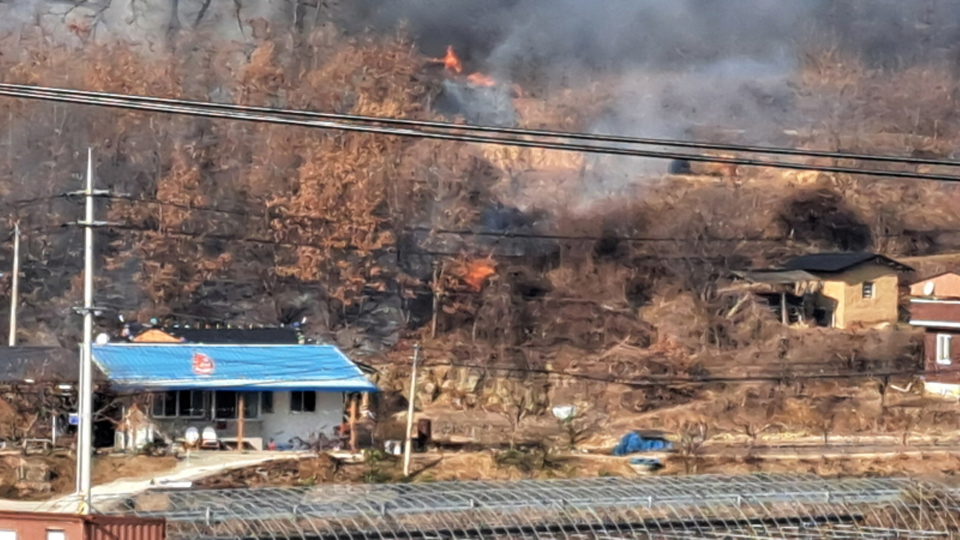 사진 제공 산림청