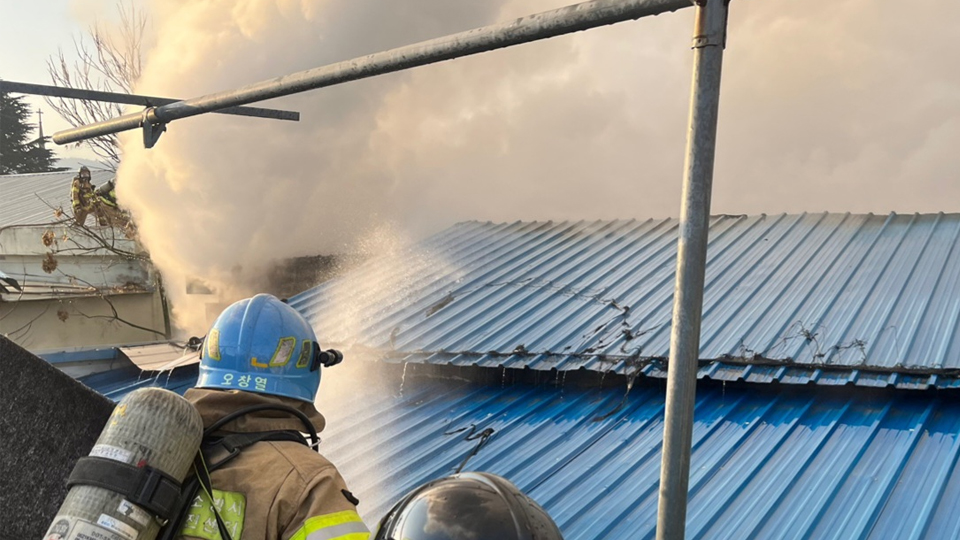 사진 제공 대구소방본부