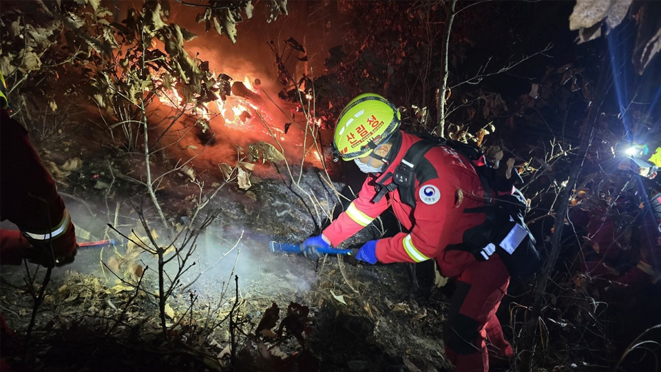 사진 제공 산림청