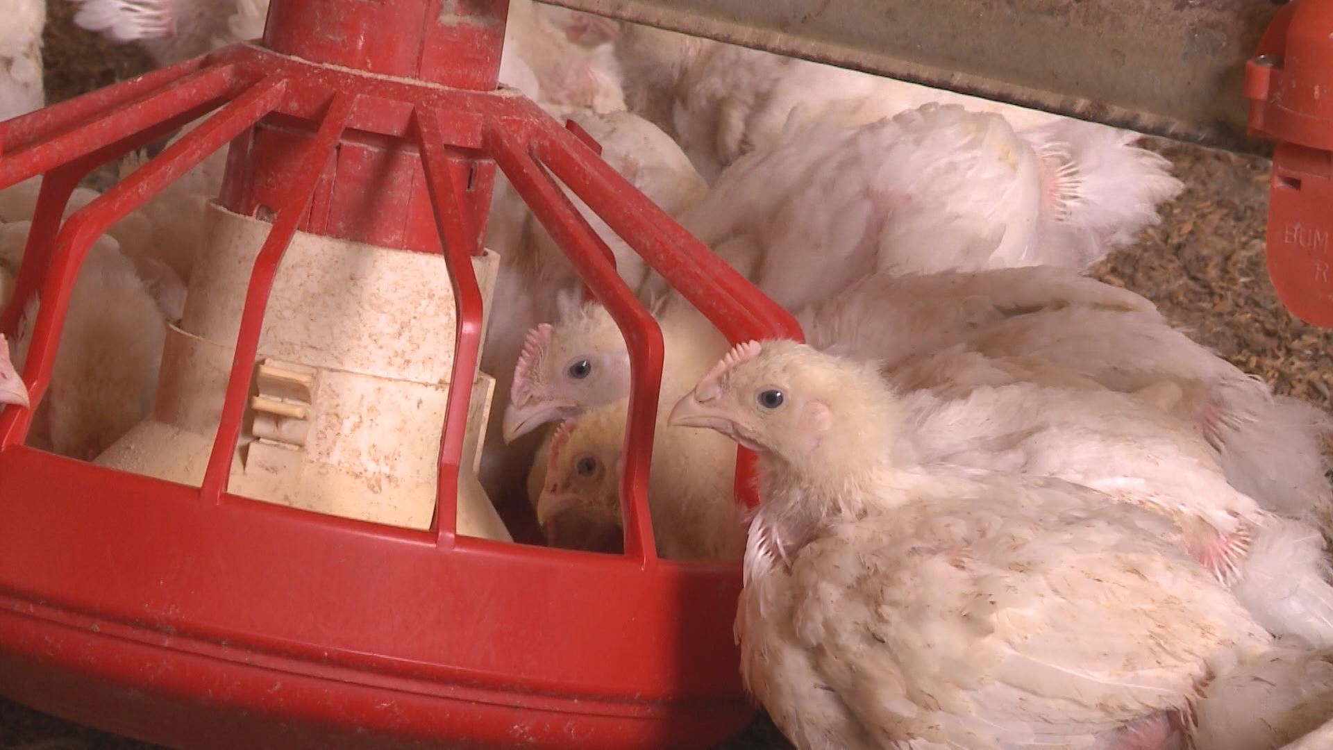 위 사진은 기사 내용과 관련이 없습니다