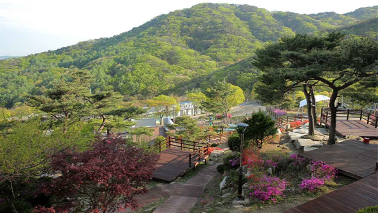 사진 제공 국립공원공단 팔공산 국립공원 서부사무소