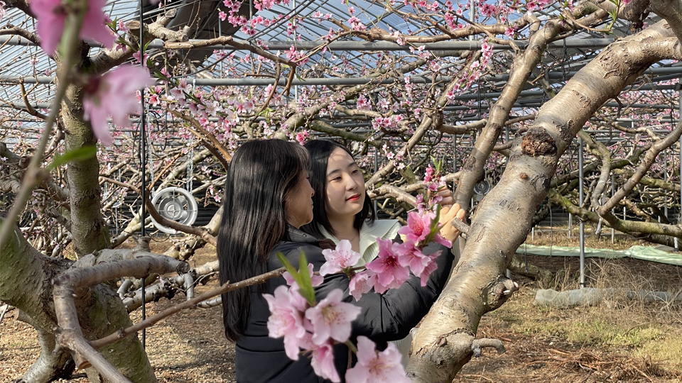 사진 제공 경북 경산시