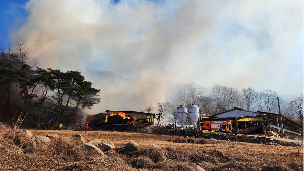 사진 제공 경북소방본부